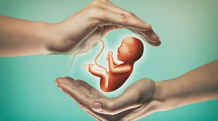 IVF & Fertility Diet Plan